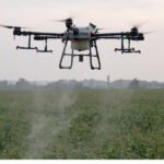 A drone sprays crops in a field under an overcast sky.