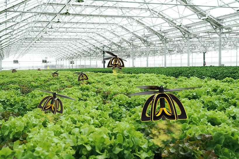 Drones hovering above rows of green plants in a large greenhouse setting.