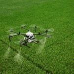 A drone sprays pesticides over a large green agricultural field.