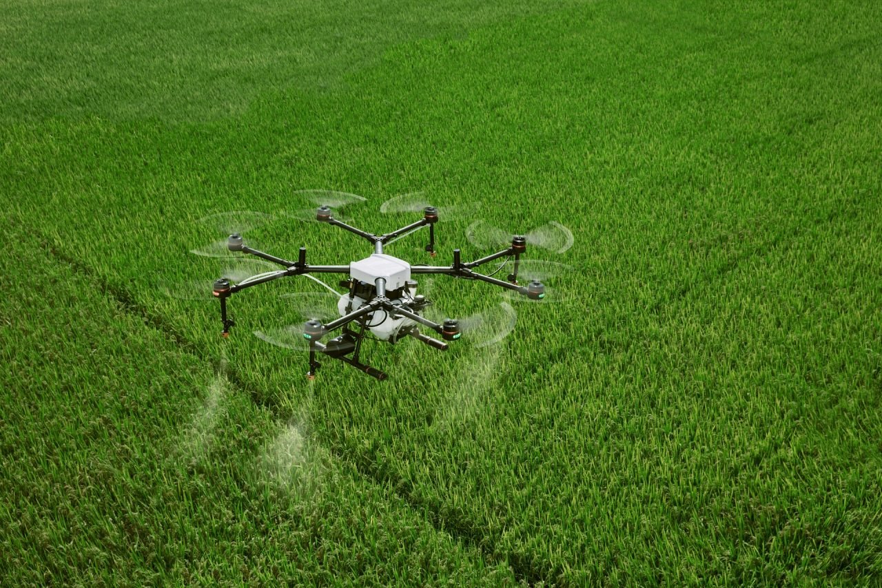 A drone sprays pesticides over a large green agricultural field.