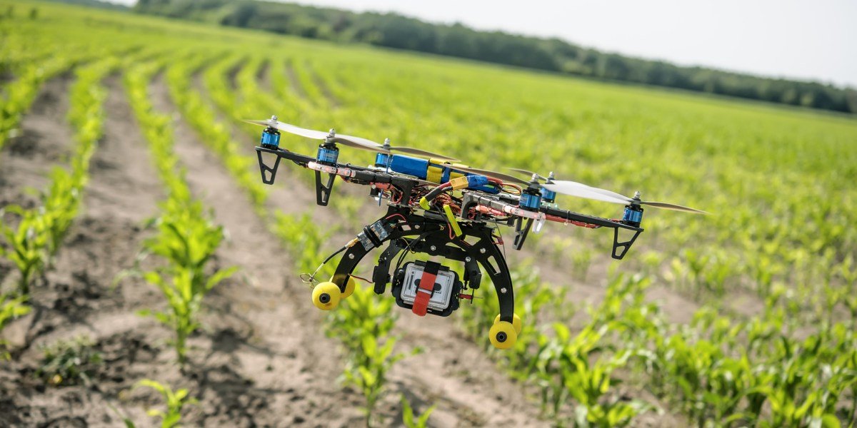 A drone equipped with a camera hovers over a field with green crops, capturing aerial footage.